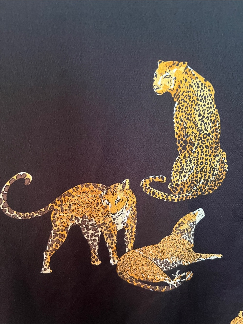 Mazik Leopard Button down Blouse - Picture 6 of 11